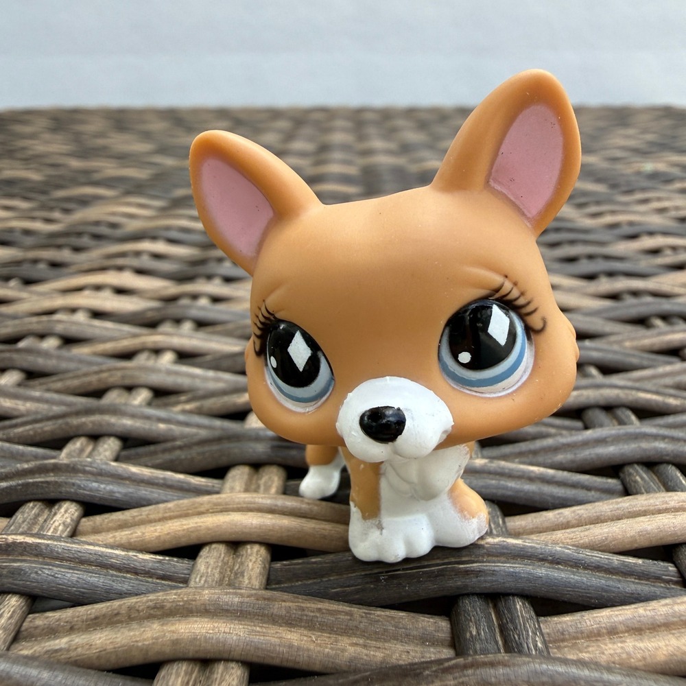 Littlest Pet Shop LPS #639 Corgi Dog Tan Blue Eyes Bobble Head Authentic Hasbro